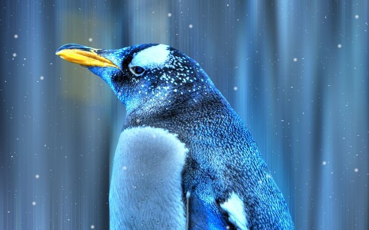 Emperor Penguin Theme screenshot #14
