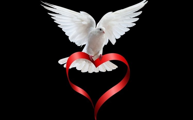 Dove Theme screenshot #3