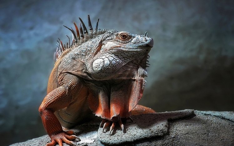 Reptile Theme screenshot #11