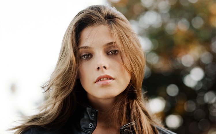 Ashley Greene Theme screenshot #22