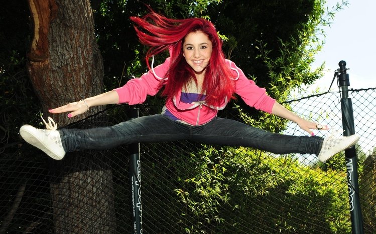 Ariana Grande Theme screenshot #4