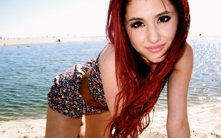 Ariana Grande Theme screenshot #9