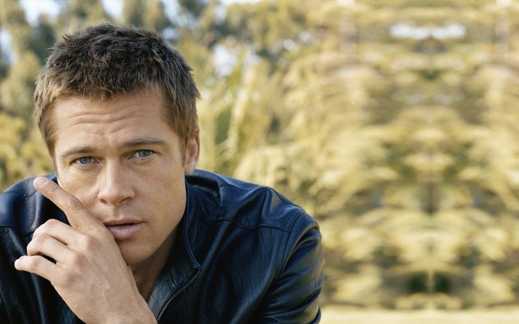 Brad Pitt Theme screenshot #8