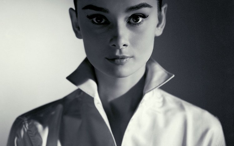 Audrey Hepburn Theme screenshot #14