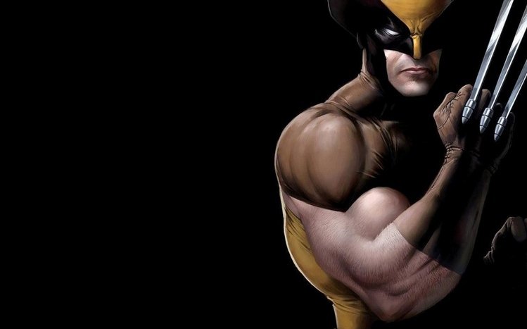 Wolverine Theme screenshot #10