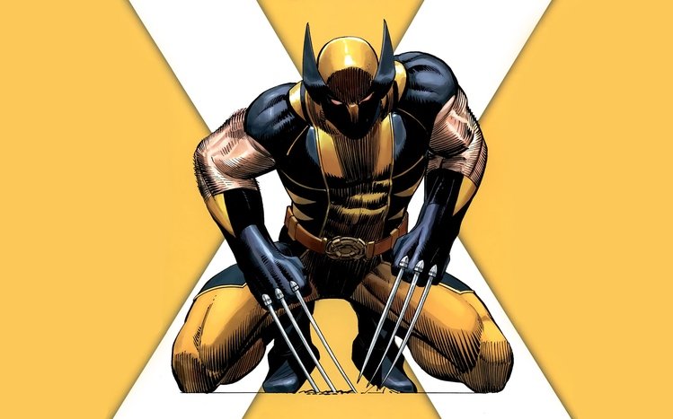 Wolverine Theme screenshot #27