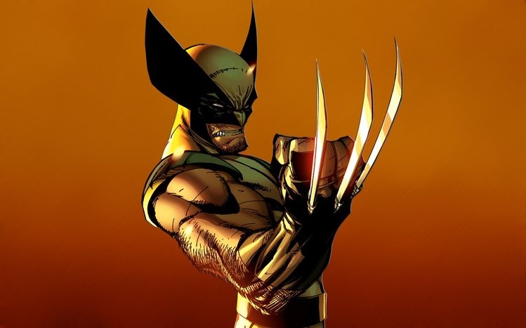 Wolverine Theme screenshot #28
