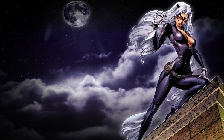 Catwoman Theme screenshot #4