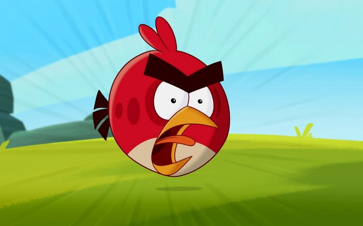 angry bird girl wallpaper