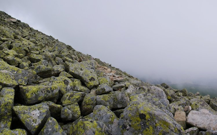 Rock Theme screenshot #17