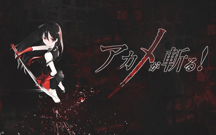 Akame ga Kill! Theme screenshot #12