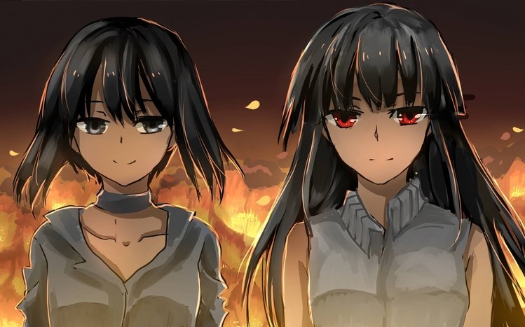 Akame ga Kill! Theme screenshot #8