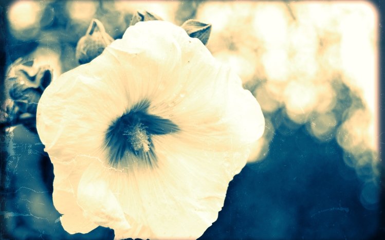 Vintage Theme screenshot #17