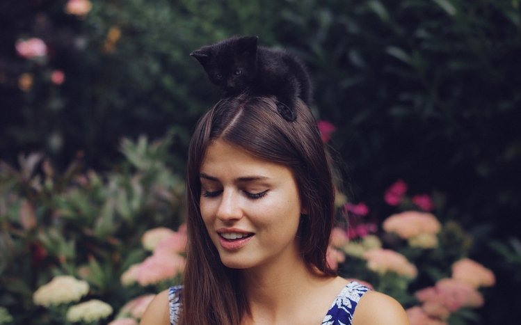 Cute Theme screenshot #5