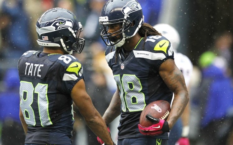 Seahawks Theme screenshot #2