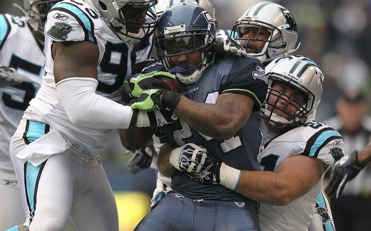 Seahawks Theme screenshot #4