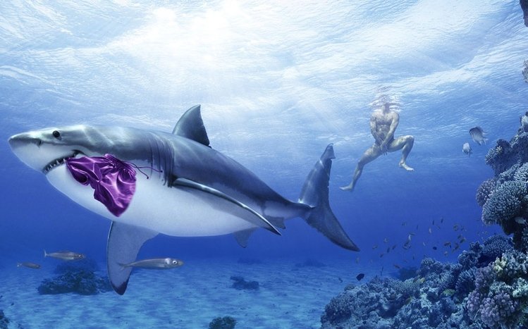 Funny Theme screenshot #11