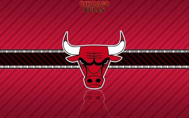 Chicago Bulls designs, themes, templates and downloadable graphic