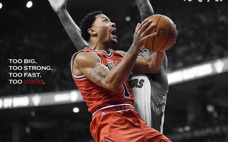 Chicago Bulls Theme screenshot #3