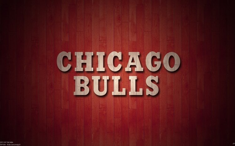 Chicago Bulls Theme screenshot #15