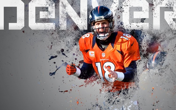 Broncos Theme screenshot #7