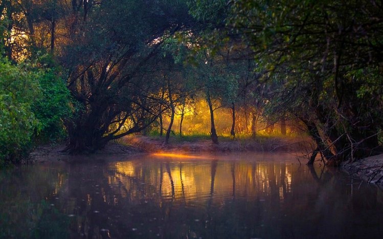 Forest Theme screenshot #5