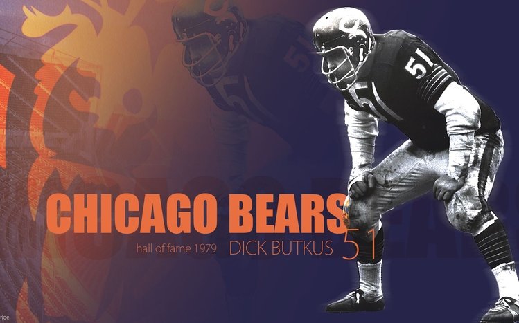 Chicago Bears Theme screenshot #15