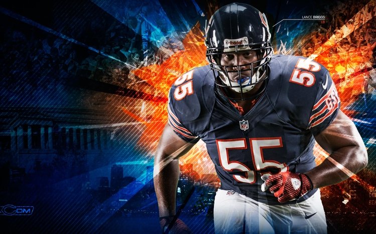 Chicago Bears Windows 11/10 Theme 