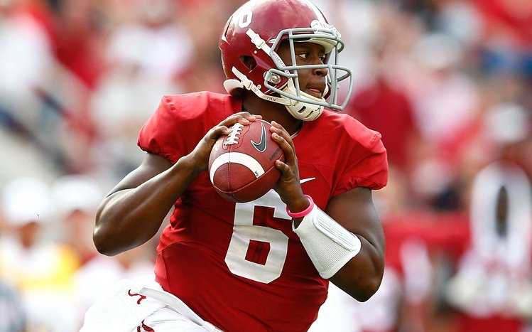 Alabama Theme screenshot #10