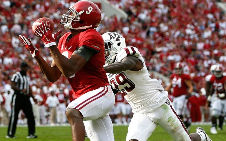 Alabama Theme screenshot #2