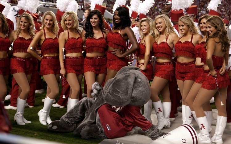 Alabama Theme screenshot #11