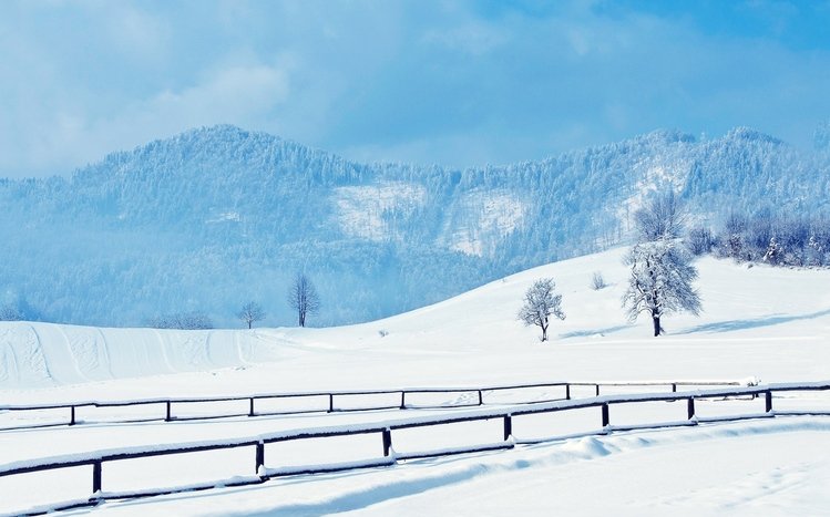 Snow Theme screenshot #6
