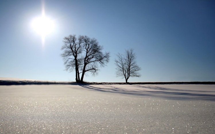 Snow Theme screenshot #12
