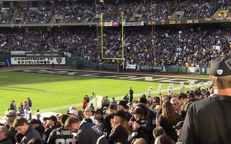 Raiders Theme screenshot #2