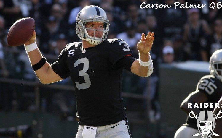 Raiders Theme screenshot #10