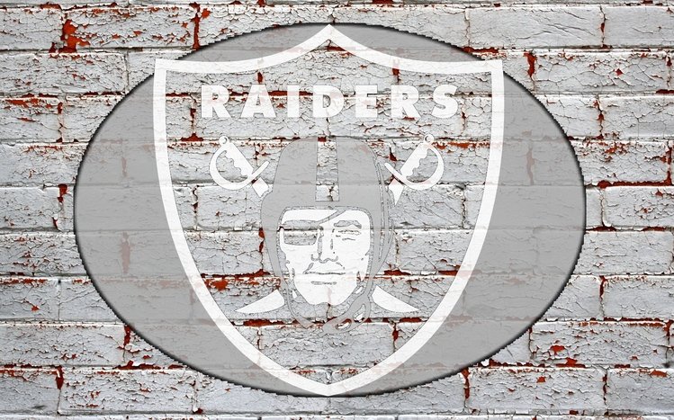 Raiders Theme screenshot #8