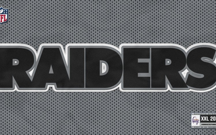 Raiders Theme screenshot #4