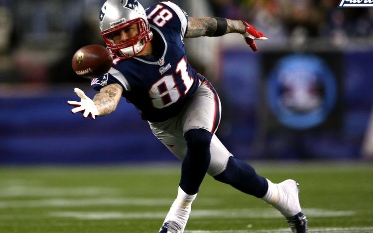 New England Patriots Theme screenshot #11