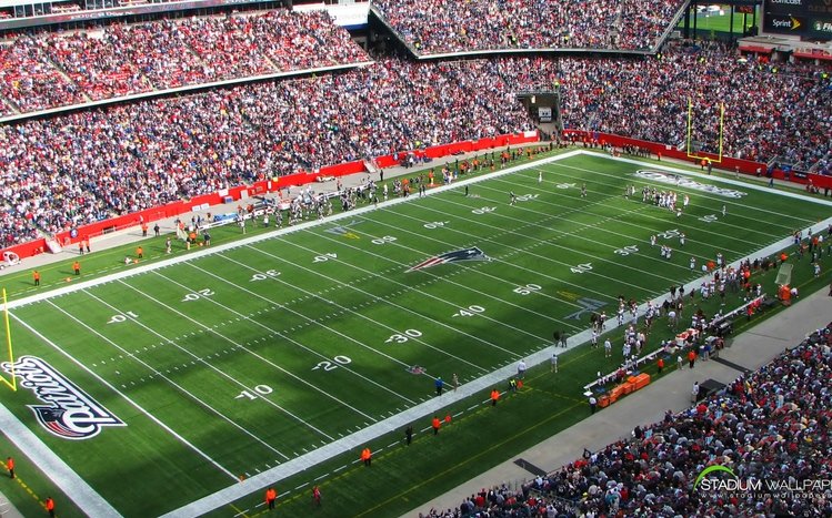 New England Patriots Theme screenshot #7