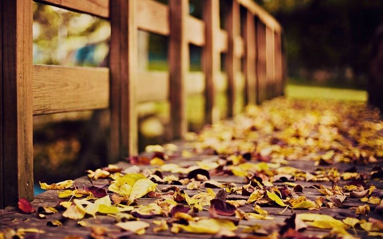 Fall Theme screenshot #15