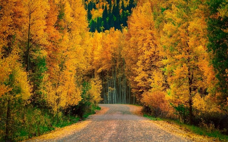 Fall Theme screenshot #6