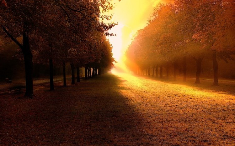 Fall Theme screenshot #2