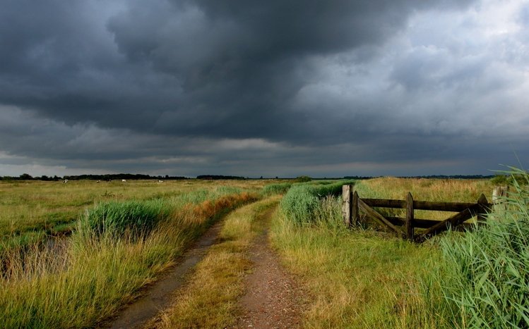 Сountry Theme screenshot #10