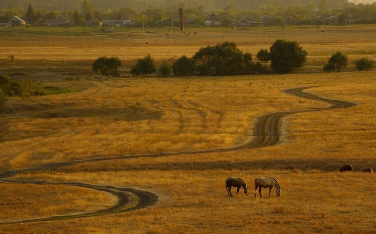 Сountry Theme screenshot #7