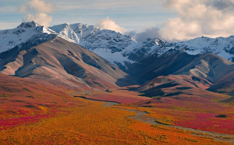 Landscape Theme screenshot #1