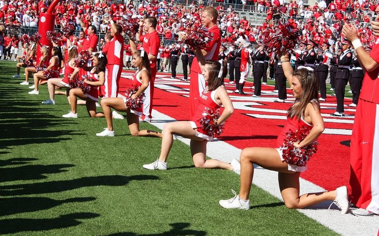 Ohio State Theme screenshot #11