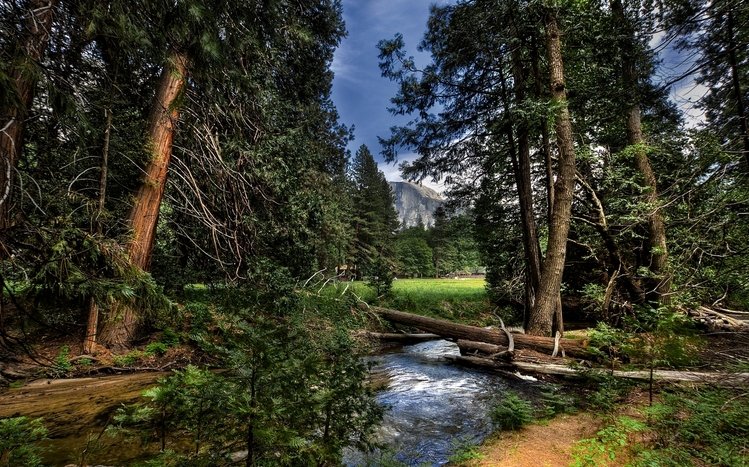 Yosemite Theme screenshot #11