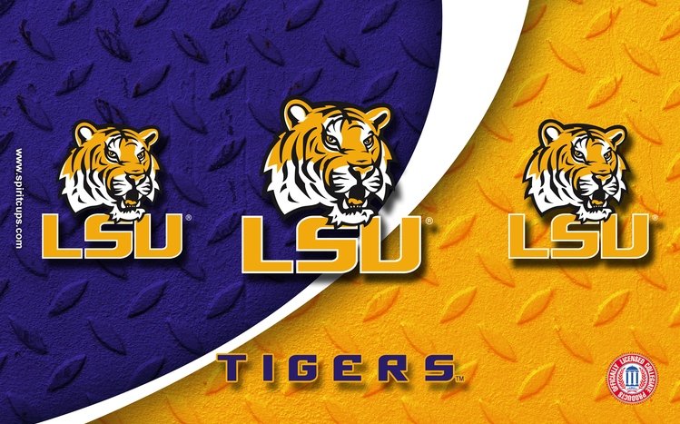 LSU Theme screenshot #5