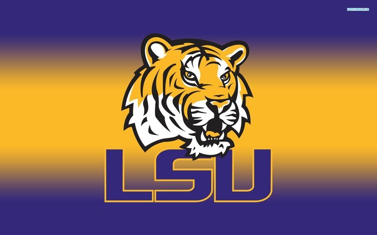 LSU Theme screenshot #7