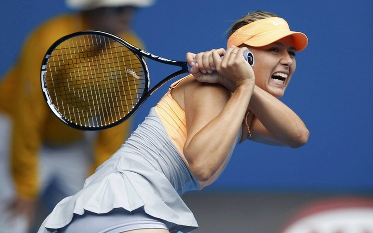 Sports Theme screenshot #7